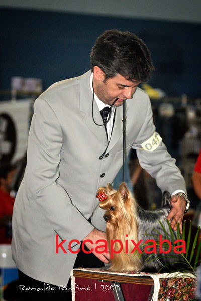 Clique sobre a foto para fechar